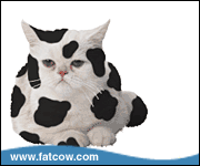 Fat Kitty Cow
