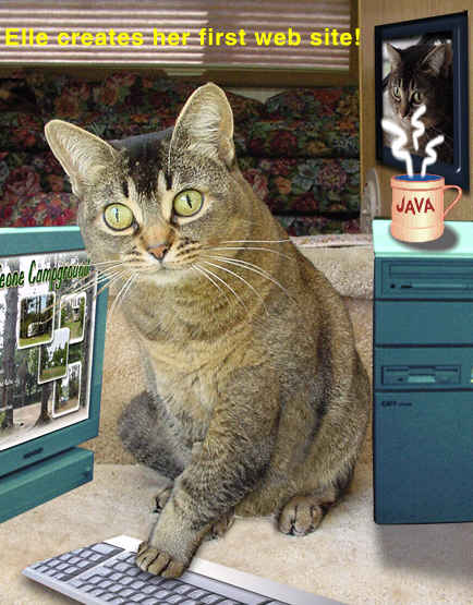 Elle Cat from Cleone Campground