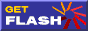 Link for Flash Plugin